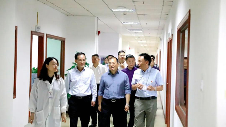 市委常委、市委組織部部長江波走訪炬神電子